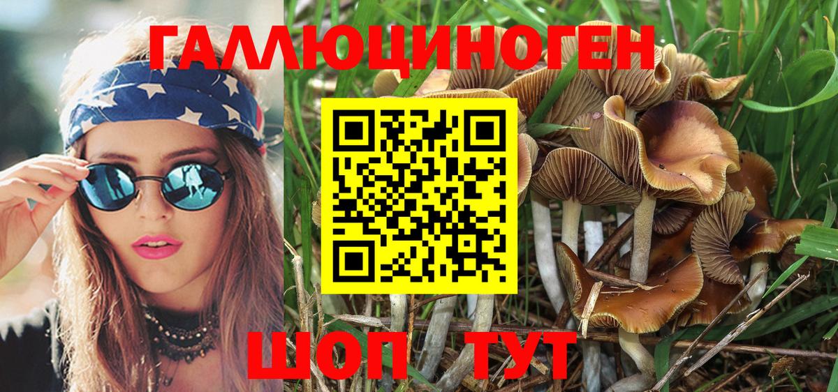 Калуга  Галлюциногенные грибы GOLDEN TEACHER  Вход с VPN  Псилоцибиновые грибы Psilocybe 