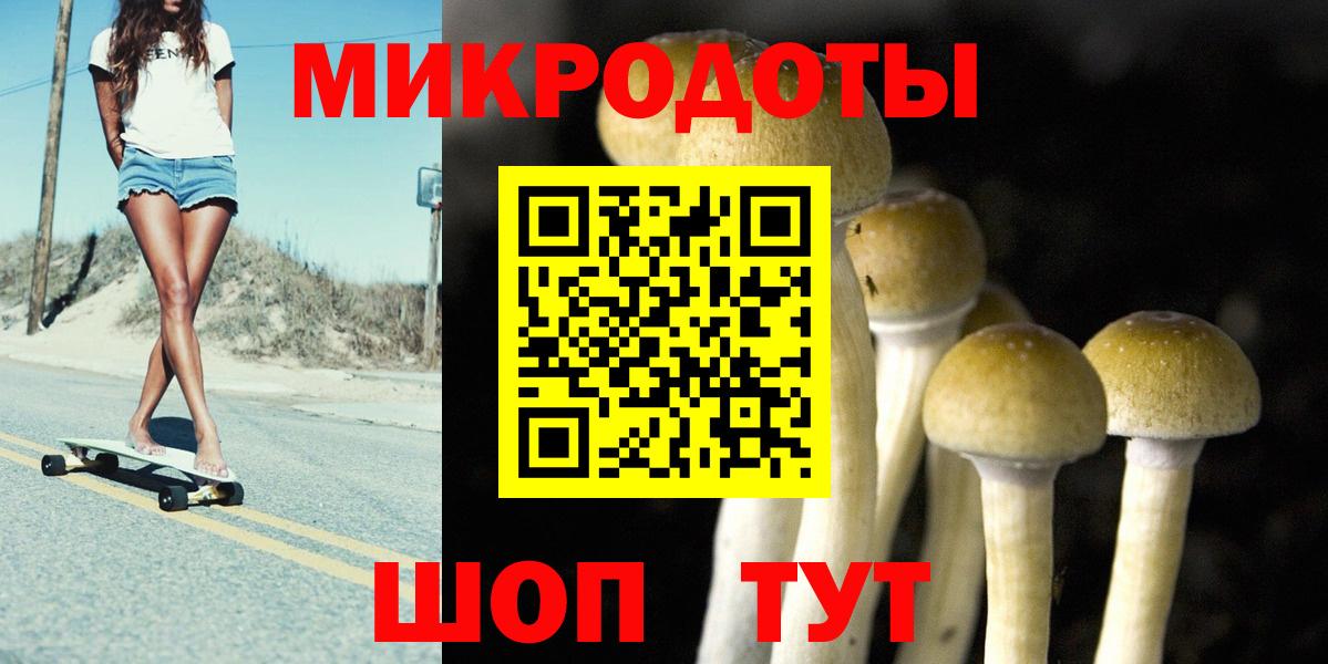 Псилоцибиновые грибы Psilocybine cubensis Калуга